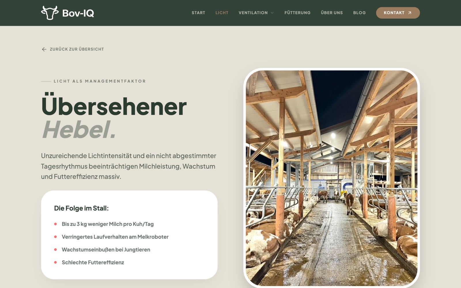 Unterseite Licht auf bov-iq.com – Licht als Managementfaktor